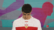 Vfb Stuttgart Football GIF by Bundesliga