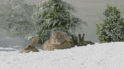 Snow Stay Warm GIF by Teletubbies