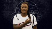 Florida Softball GIF by USSSA Pride