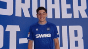 2 Bundesliga GIF by Karlsruher SC
