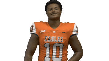Football Celebration Sticker by Carson-Newman Athletics