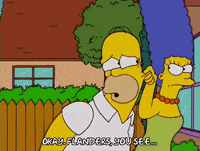 homer simpson episode 20 GIF