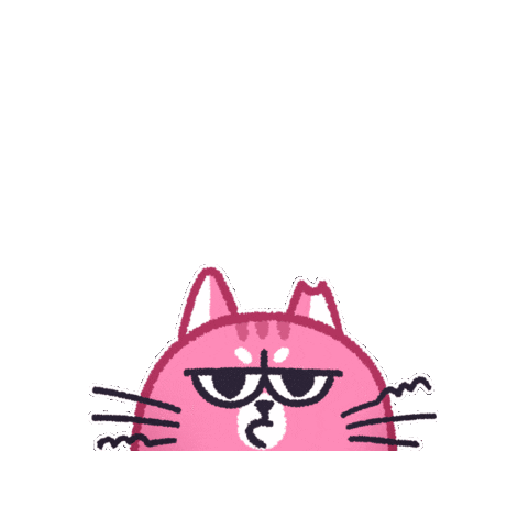 cibithecat giphygifmaker cat cibi its hint Sticker