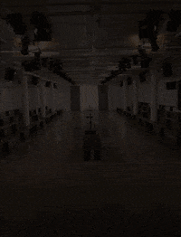 GIF by Wantering
