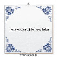 Teamwork Nl GIF by Tegelspreuken.nl