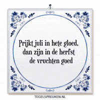 Humor Nl GIF by Tegelspreuken.nl