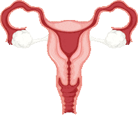 Endometriosis Diagnose Sticker by Sven H. Photography