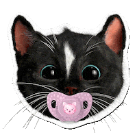 Cat Kitten Sticker by Felini Rocks