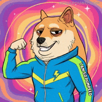 Excited Lets Go GIF by Doge Pound