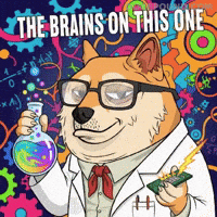 Shiba Inu Thinking GIF by Doge Pound