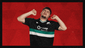 Hannover 96 Football GIF by Bundesliga