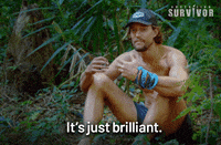 David This Is Brilliant GIF by Australian Survivor
