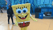 Spongebob Squarepants Nickelodeon GIF