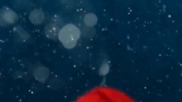merry christmas GIF by Southside Festival