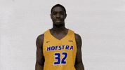 Basketball GIF by Hofstra Pride