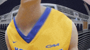 Basketball GIF by Hofstra Pride