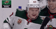 Regular Season Sport GIF by NHL