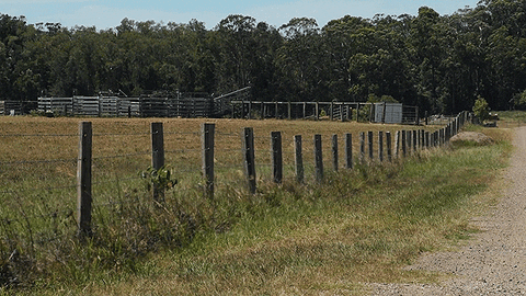 australia fence GIF by Jerology