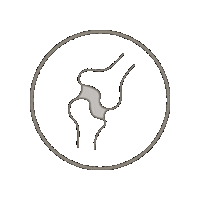 Icon Bones Sticker by youtheory