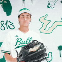 South Florida Baseball GIF by USF Athletics