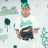 South Florida Baseball GIF by USF Athletics