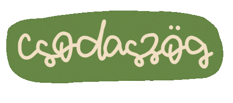 Fesztival Sticker by Gombaszög