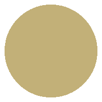 Color Gold Sticker by Brand by Mirelle