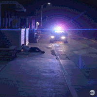 police trouble GIF by Animal Kingdom on TNT