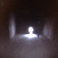 Halloween Glow GIF by Tiffany