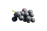 Grapes Fellbach Sticker by Fellbacher Weingärtner eG