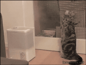 friends nonsmoker GIF