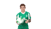 Josh Sargent Bundesliga Sticker by SV Werder Bremen