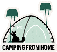 Cat Camping Sticker by REI