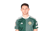 Jordan Thompson Soccer Sticker by Northern Ireland