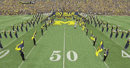 GIF by Michigan Athletics