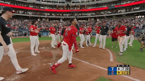 Sport Baseball GIF by MLB