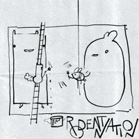 Rodentnation creative painting together teamwork GIF
