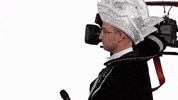 GreenLeavesProductions 2023 carnaval helmond carnaval2023 GIF