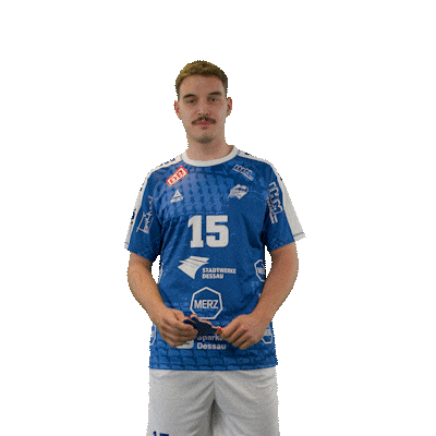 Handball Nowak Sticker by DAIKIN HBL