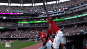 Major League Baseball Sport GIF by MLB