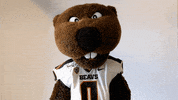 Oregon State Dance GIF by Oregon State University