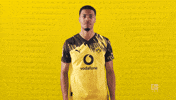 Keep Going Borussia Dortmund GIF by Bundesliga