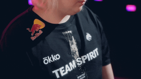 Team Spirit GIF by BLAST