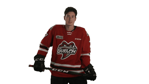 Guelph Sticker by GuelphStormHockey