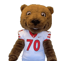 Big Red Football Sticker by Touchdown's Team