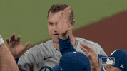 High Five Major League Baseball GIF by MLB