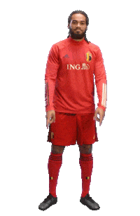 ingbelgium red you done well done Sticker