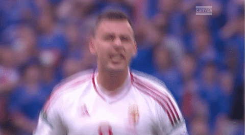 euro 2016 goal GIF by Sporza