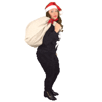neuton christmas holiday xmas santa Sticker