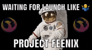 projectfeenix moon lfg feen feens GIF